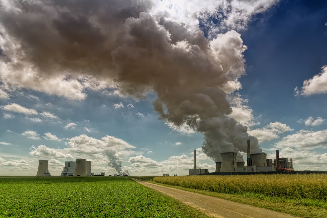 Are the EUAs that I can buy the same as those that industries buy?