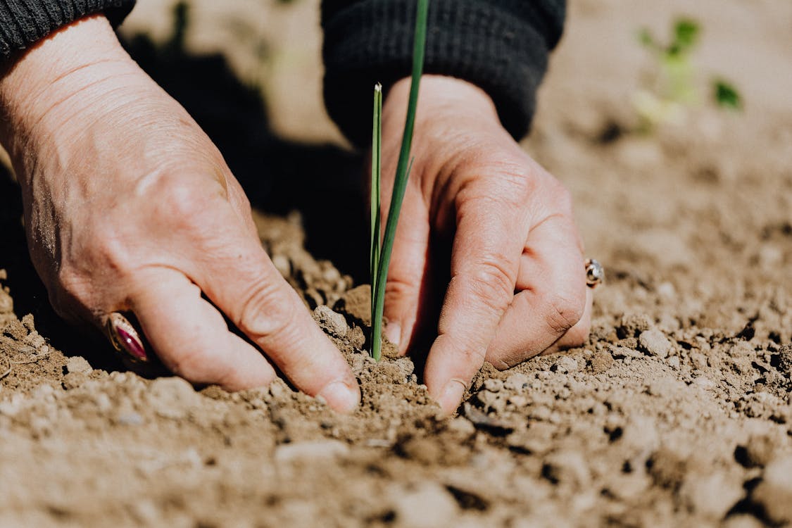 Does my investment still have a climate impact if I sell my EUAs?